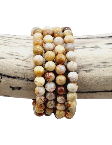 AA Beads Fossil Coral Bracciale