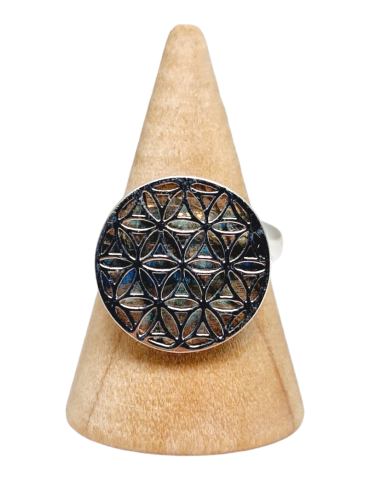 Flor anel Labradorite conjunto prata 925