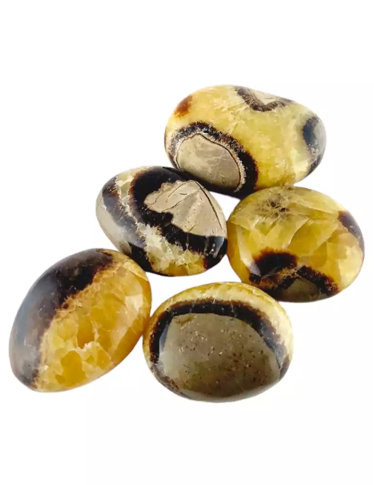 Septaria Pebbles A