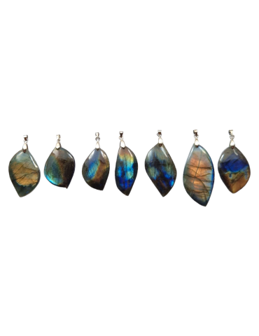 Ciondolo foglia Labradorite multicolore A