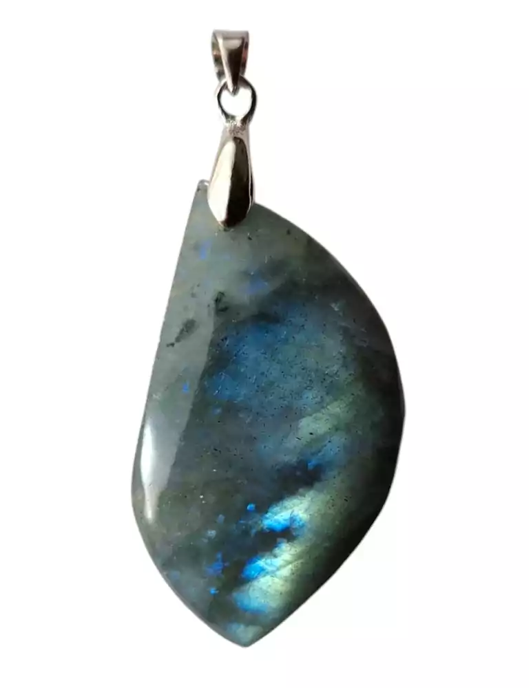 Labradorite Leaf Pendant B