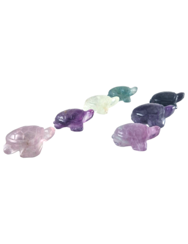 Sculpted turtle in mixed color Fluorite B