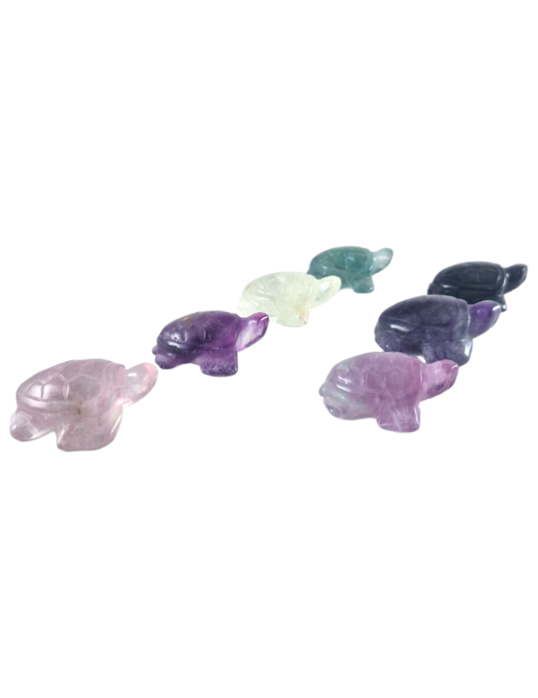 Tortuga esculpida en Fluorita de colores mixtos B
