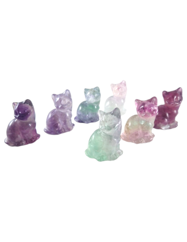 Carved cat in mixed color Fluorite