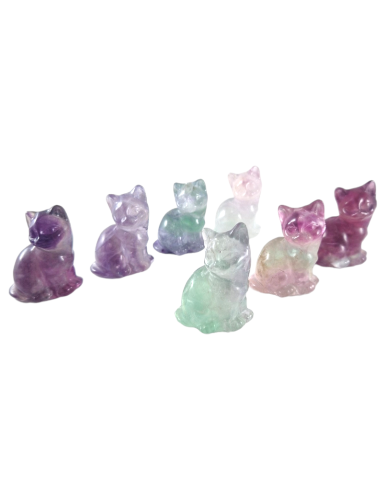 Carved cat in mixed color Fluorite