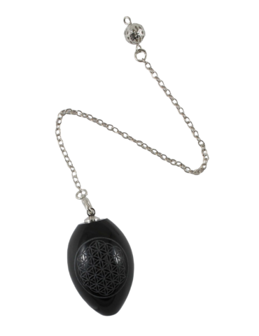  Pendule Tree of Life Black Obsidian egg