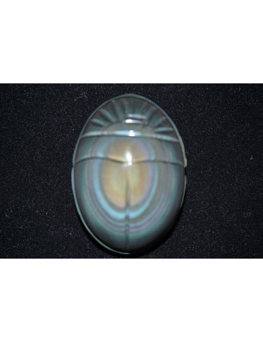 Obsidiaan kever met hemelblauwe oog.