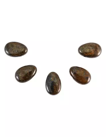 Pendentifs percés travers Bronzite lot x5 AA