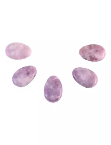 Pendentifs percés travers Lépidolite lot x5 AA