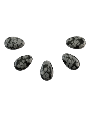 Pierced pendants through Snow Obsidian lot x5 AA