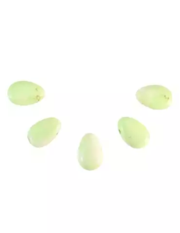  Pendenti forati attraverso Chrysoprase limone lotto x5 AA