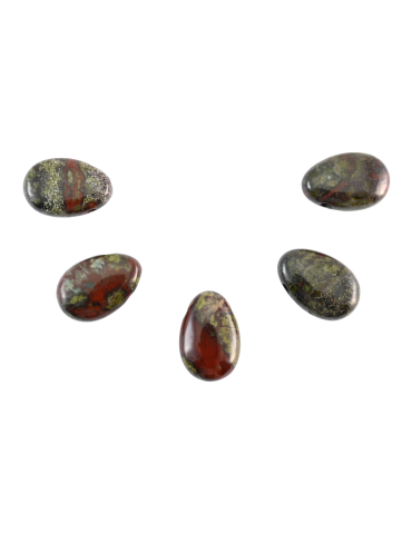 Pierced pendants through Dragon Blood Jasper lot x5 AA