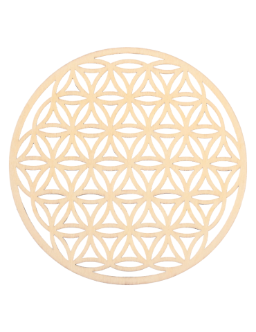 Copy of Open Flower of Life in Wood Set of 5