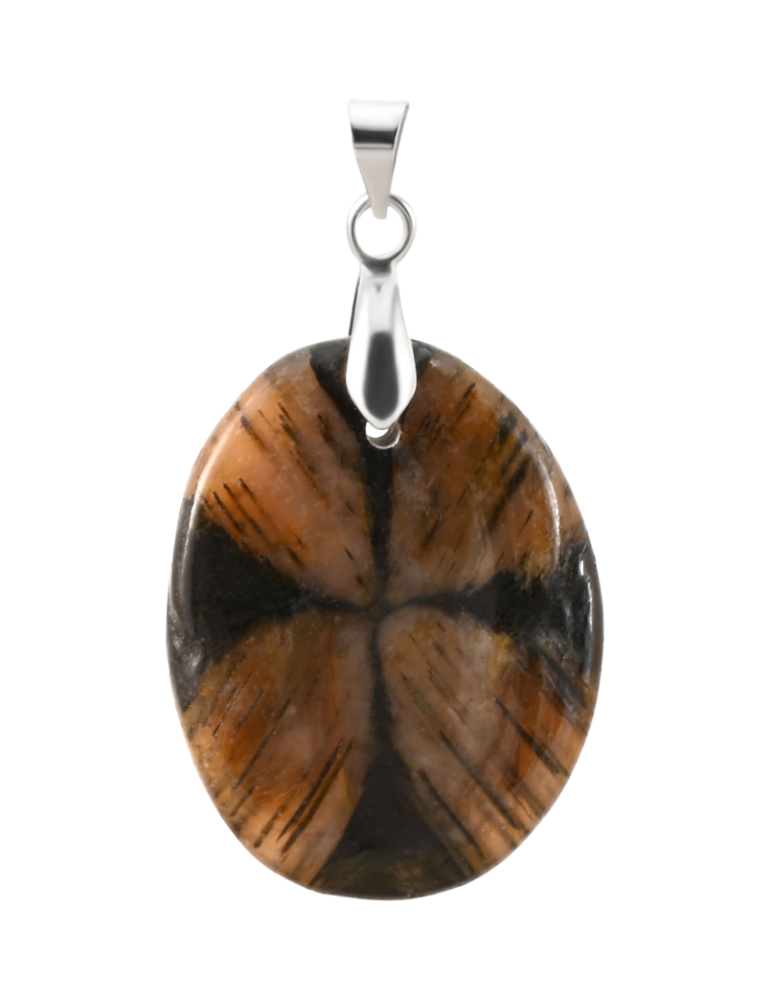 Chiastolite A Pendant