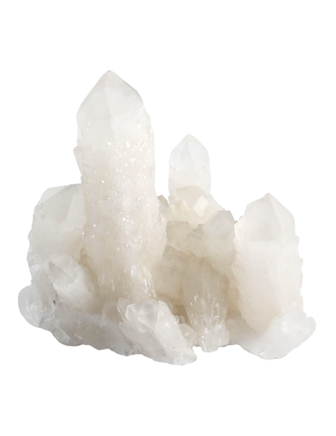 Cactus quartz crystal cluster