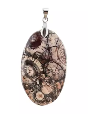 Pendentif Jaspe oeil d'oiseau AA