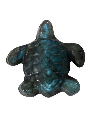 Carved labradorite turtle pendant A