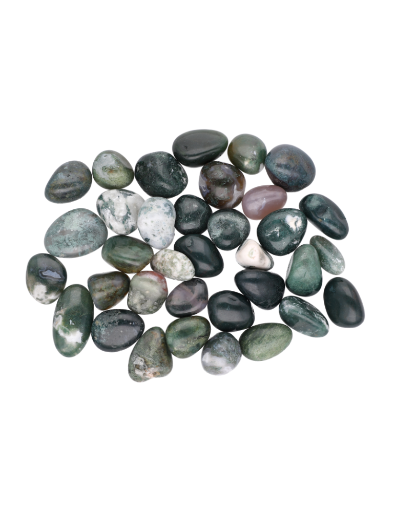 Agate tree tumbled stones A