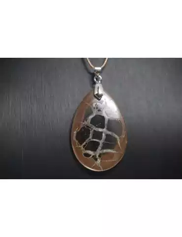 Black Septaria Pendant A