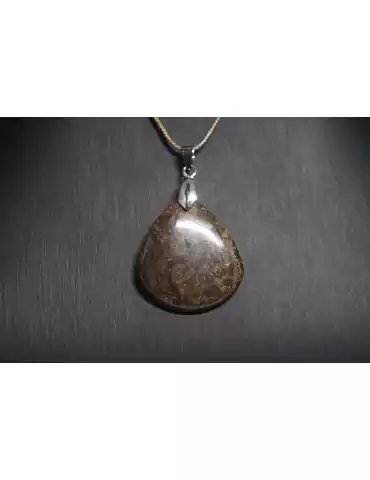 Pendentif Stromatolite