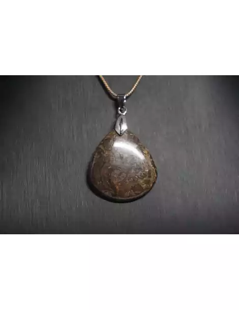 Stromatolite Pendant