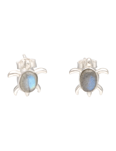 Tortue boucles d'oreilles...