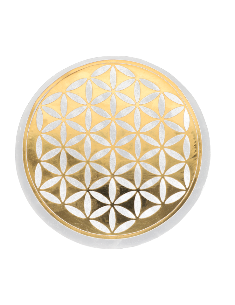 Disco selenita flor da vida dourado