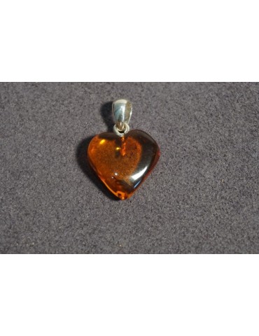 Hartvormige Amber Hanger