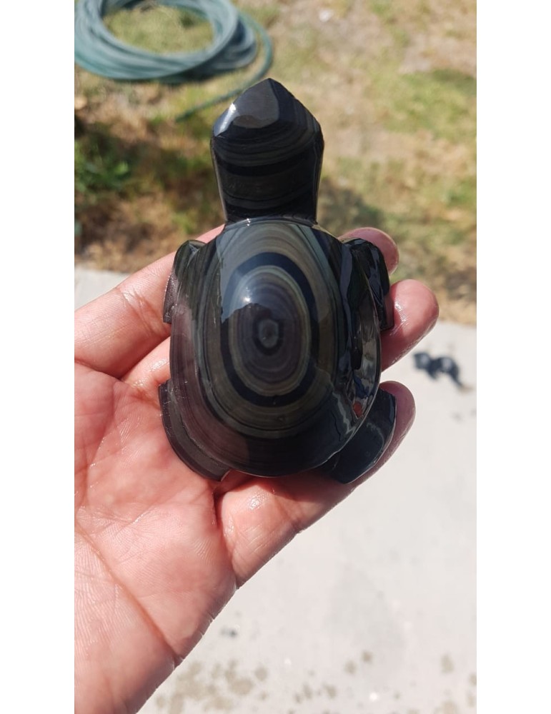 Copy of Golden Obsidian Turtle