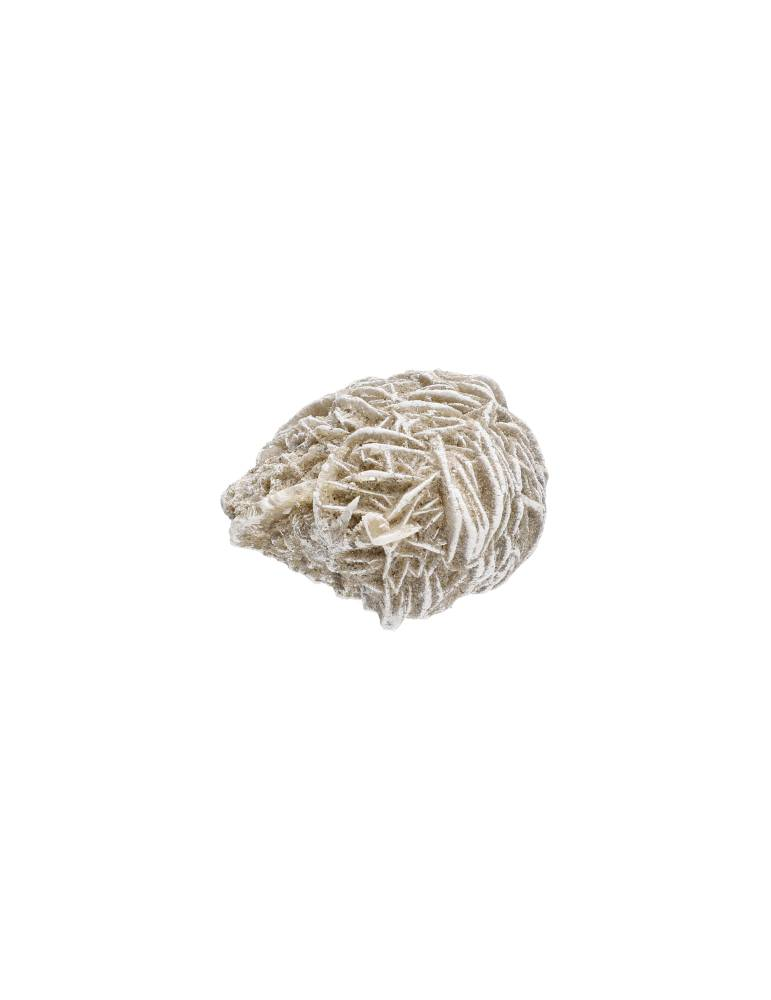 Rose des sables 3-5 cm