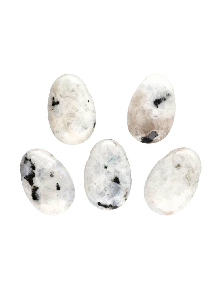 Pierced pendants through White Labradorite lot x5 AA