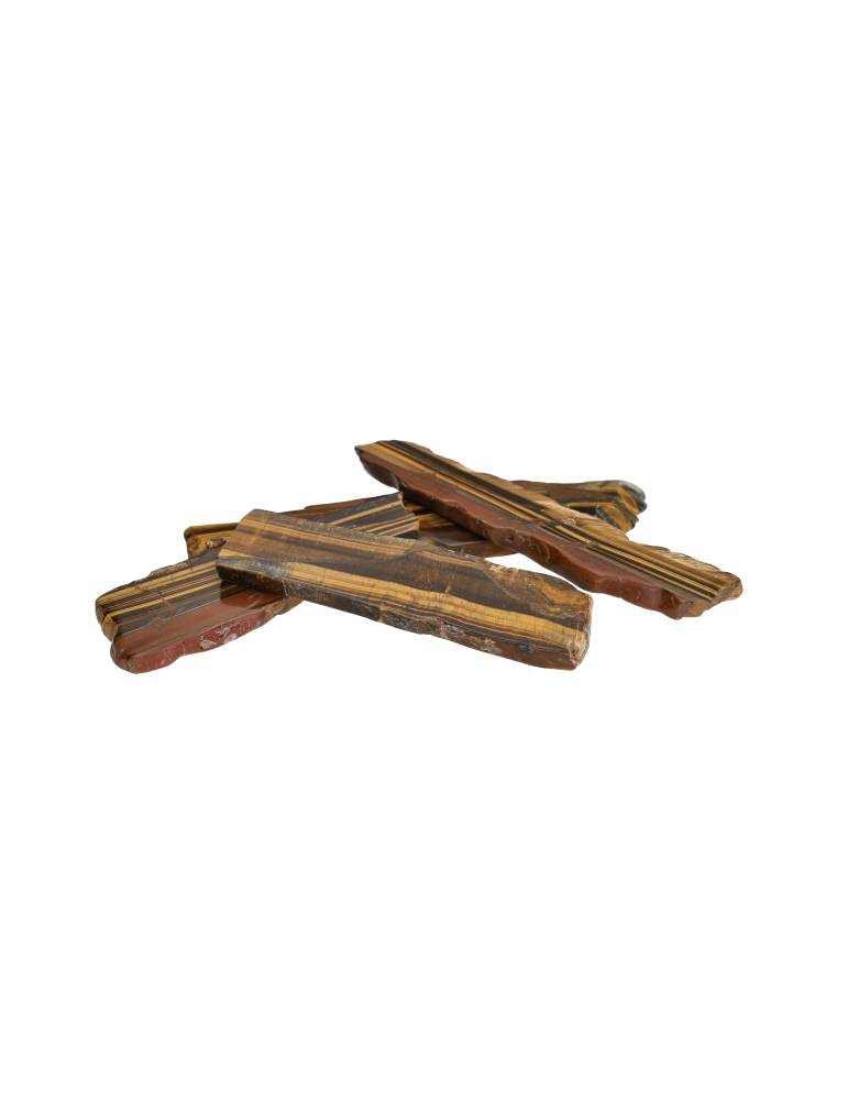 Copia de Sección de Madera Fosilizada 5-15 cm