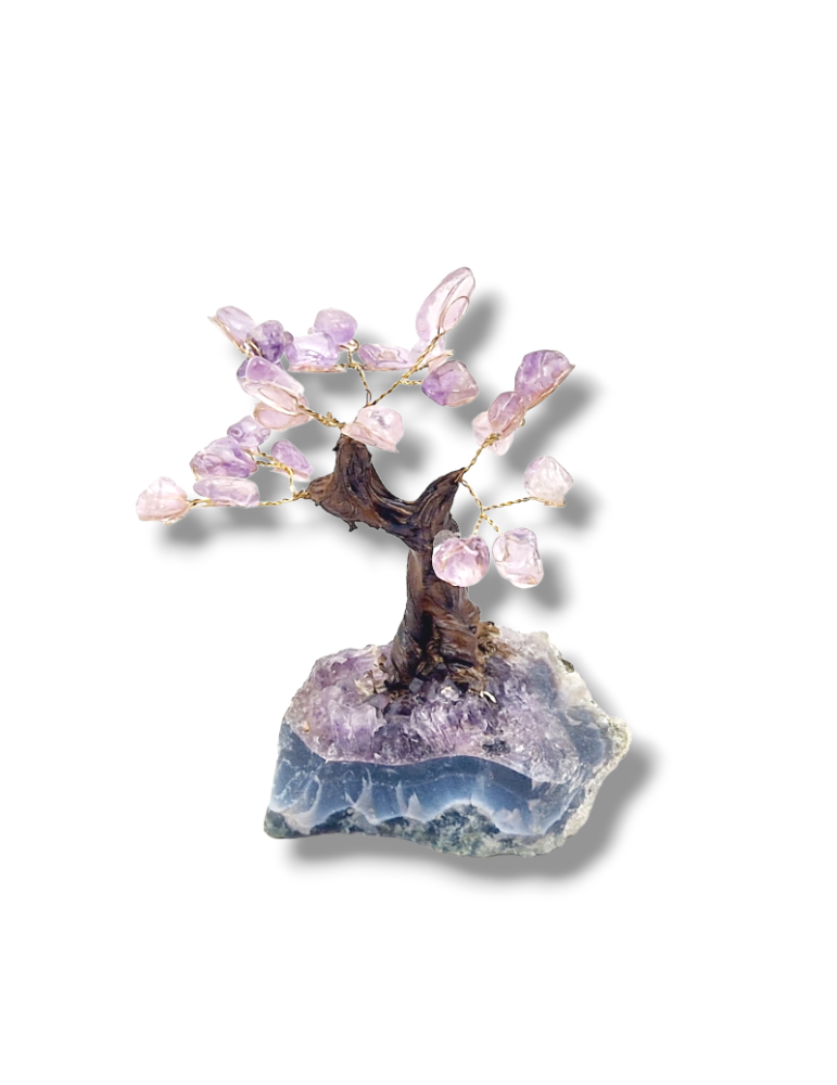 12 cm tree from Brazil, tumbled stones of your choice AA