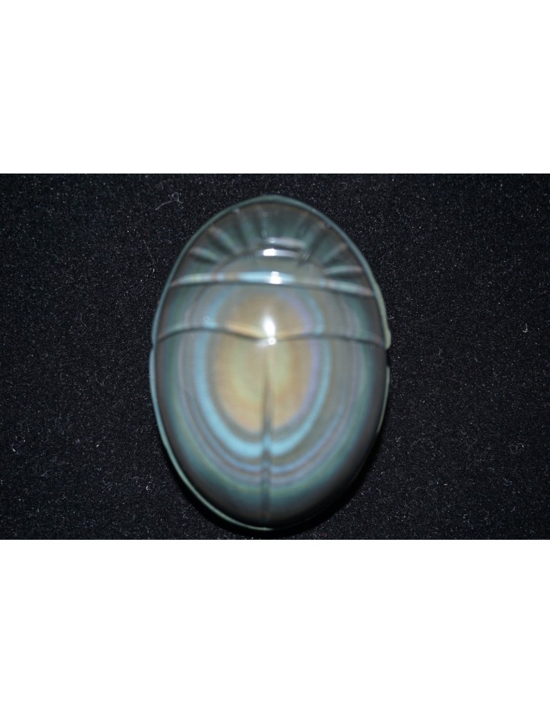 Obsidian celestial eye beetle