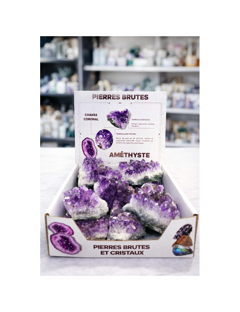 AA Amethyst Druze Display Raw Stones