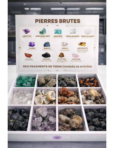 Espositore Souvenir minerale - cristalli - 12 scomparti