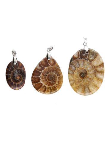 Pendentif ammonite polie