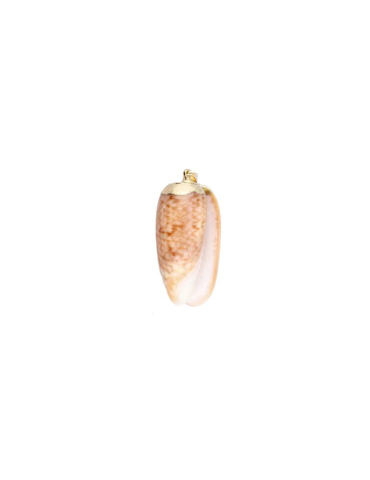 Olividae shell pendant