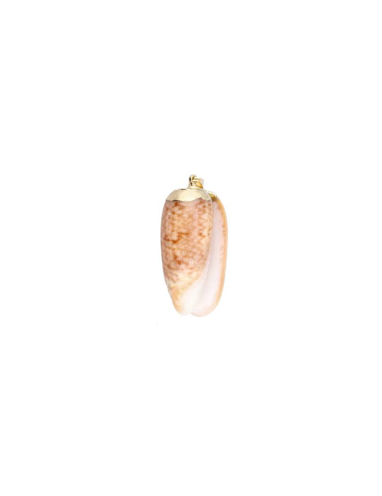 Olividae shell pendant