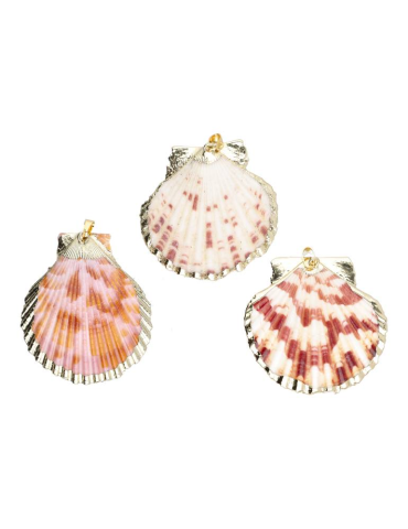 Copy of Turritella Shell Pendant