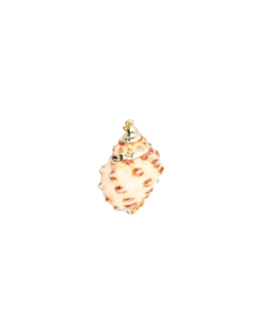 Copy of Spiral Shell Pendant