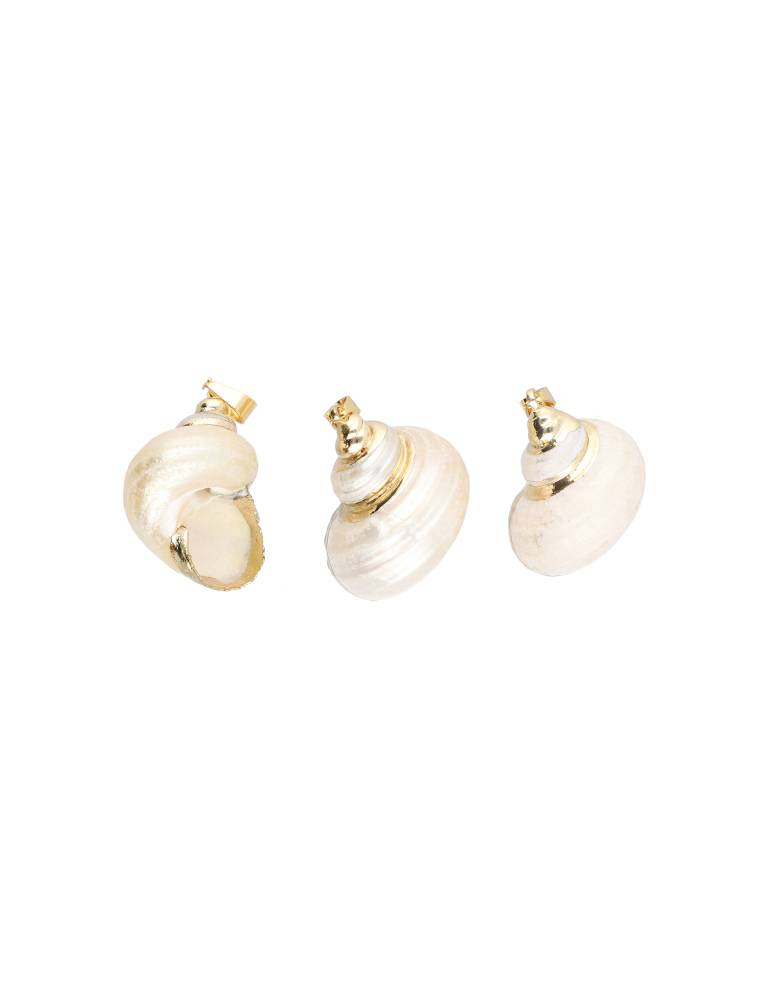 Copy of Thais seashell pendant