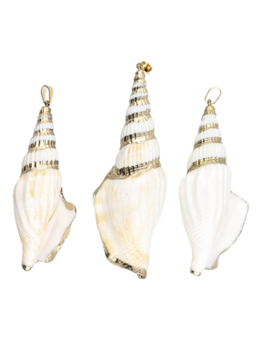 Copy of Nacre Turbo Shell Pendant