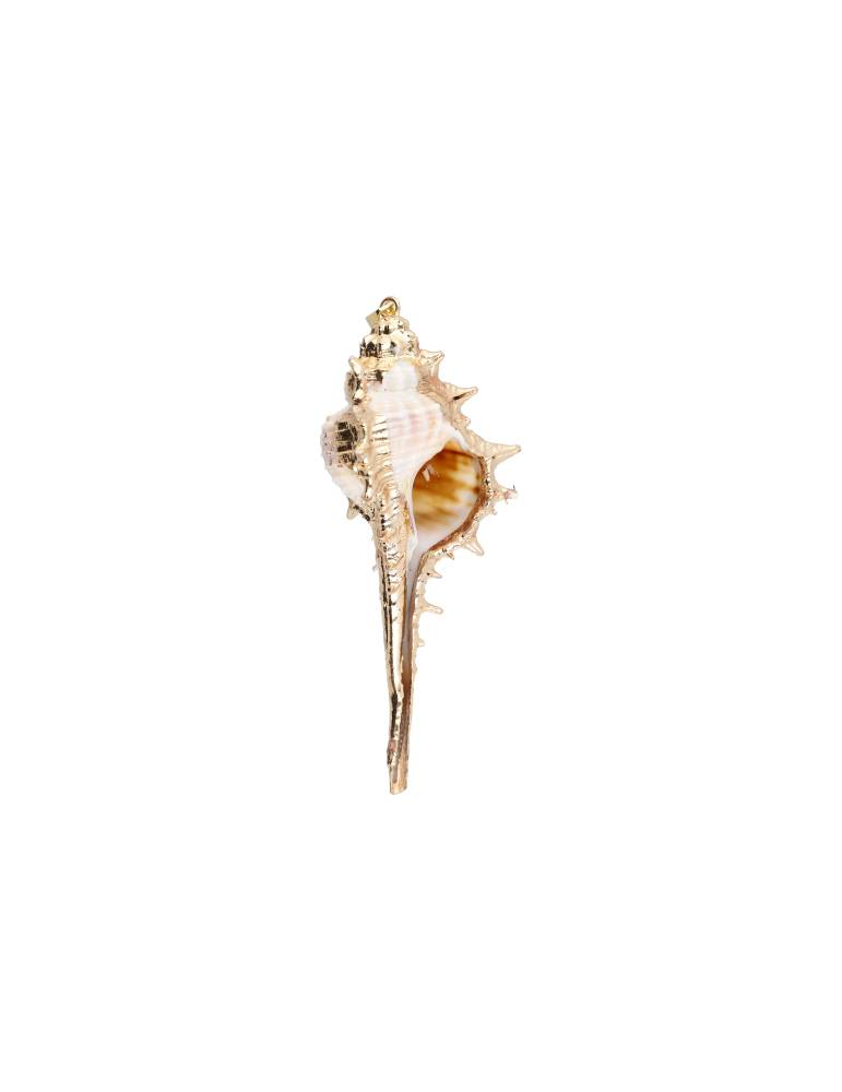 Pendentif coquillage murex