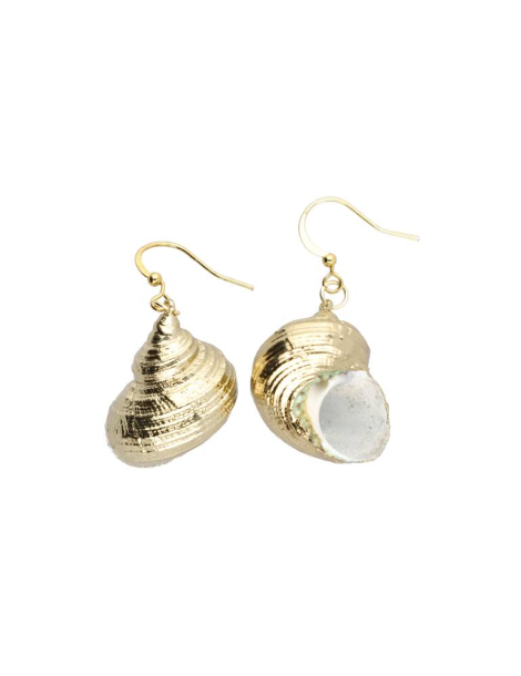 Copy of green turbo shell earrings