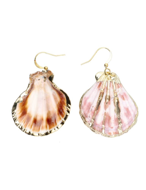 Copy of Pectinida Shell Pendant