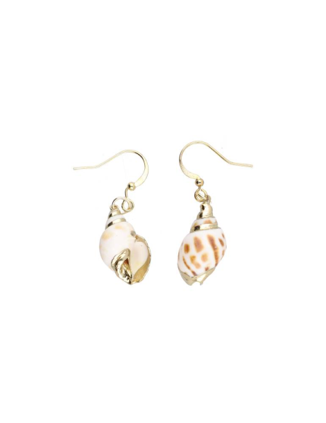 Copy of Voluta Shell Pendant