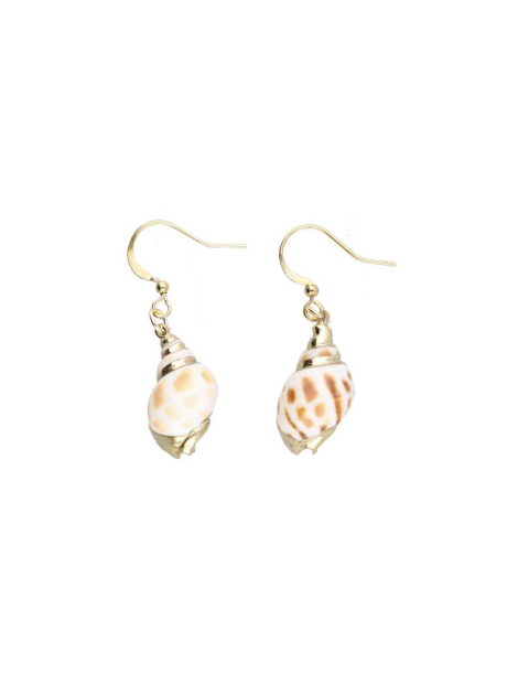 Copy of Voluta Shell Pendant