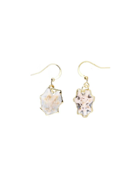 Copy of Patella Shell Pendant