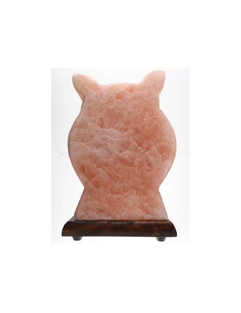Lampe sel de l’Himalaya motif hibou 20 x 7
